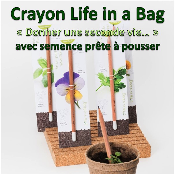 crayon-pencil-life-in-a-bag-semence-prete-a-pousser-aromate-plante-aromatique