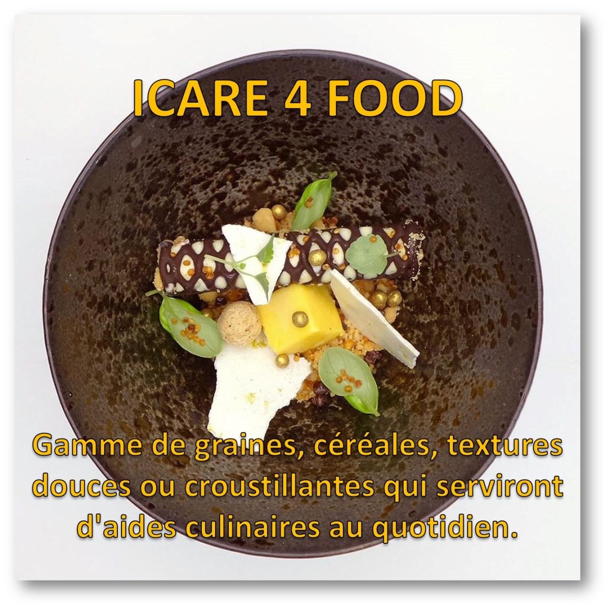 icare-4-food-graine-cereale-texture-douce-croustillante-sens-gourmet